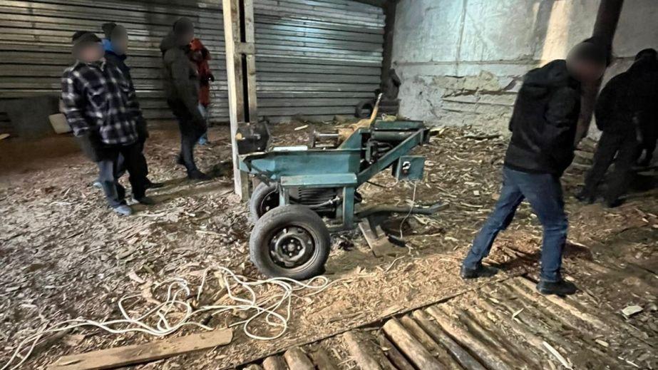 На Дніпропетровщині викрили злочинну банду, яка незаконно вирубувала ліс у промислових масштабах (ФОТО, ВІДЕО).